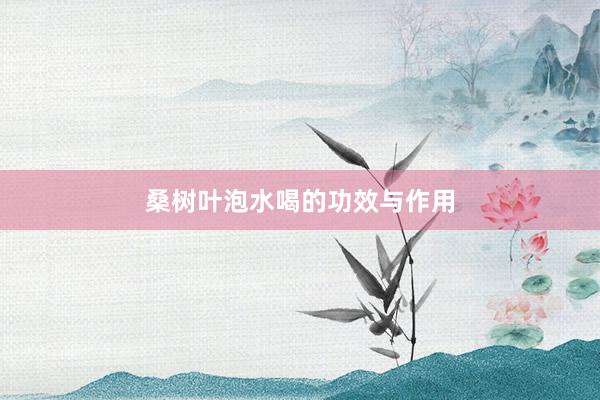 桑树叶泡水喝的功效与作用